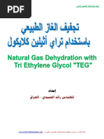 Download    by AONGwebsite SN300632402 doc pdf