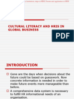 Unit V: Cultural Literacy and Hris in Global Business