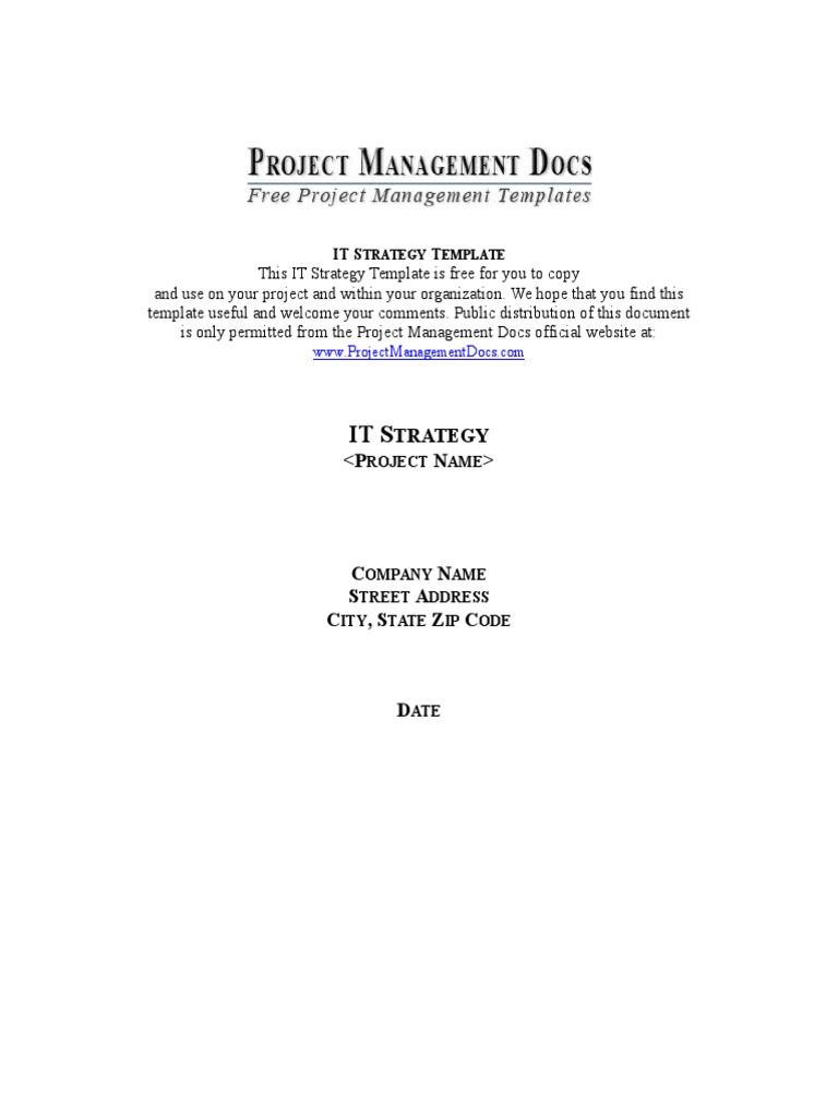 IT Strategy Template for Organizations | PDF | Business