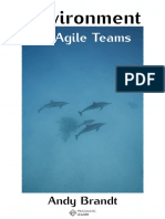 Environment for Agile Teams