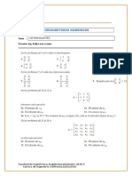 Practica Determinantes