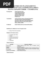 Planejamento Estratégico - Coomflona_resumido