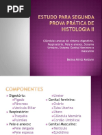 Estudo Para Segunda Prova Prática de Histologia II