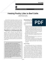Feeding Poultry Litter To Beef Cattle