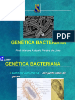 04 Aula Genética Bacteriana