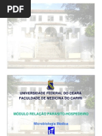 Download 06 Aula Estafilococos by regisribeiro SN30072509 doc pdf