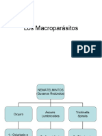 Los Macroparásitos