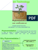 Phytoremediation of Lead