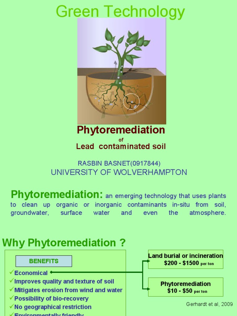 Phytoremediation of Lead Contaminated Soil | PDF | Physical Sciences ...