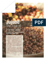 3730868-JuJube