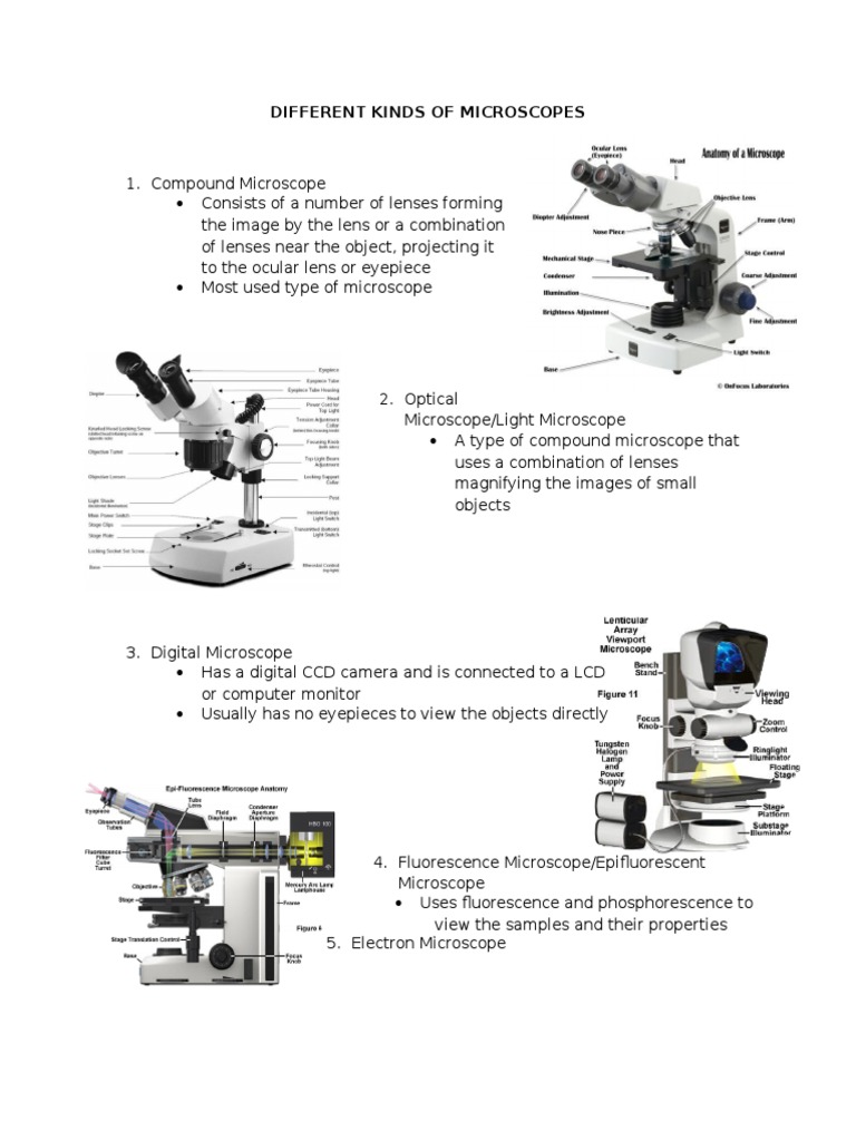 Microscopes (Types) | PDF