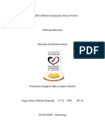 Conheça as doenças cardiovasculares mais comuns e o que pode fazer para as evitar