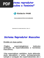 Sistema Reprodutor Histologia e Embriologia