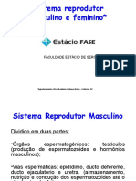 Sistema Reprodutor Histologia e Embriologia