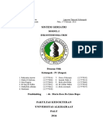 Laporan Tutorial Modul Inkontinensia