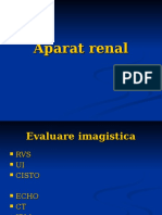 Aparat Renal