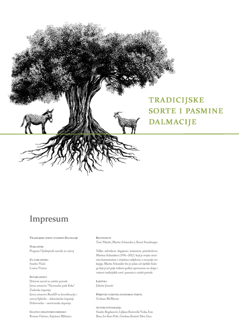 LEKCIJE IZ POVIJESTI, Sa Težištem Na Hrvatsku Do XIII. Vijeka PDF | PDF, image size:768x1024