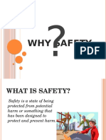 Why Safety?