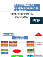 Conferencia FDSDFDR Pro Componente Cascada