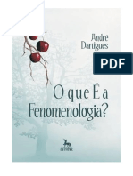 O Que é Fenomenologia - ANDRÉ DARTIGUES