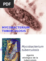Download MYCOBACTERIUM  by casulasam SN300970767 doc pdf