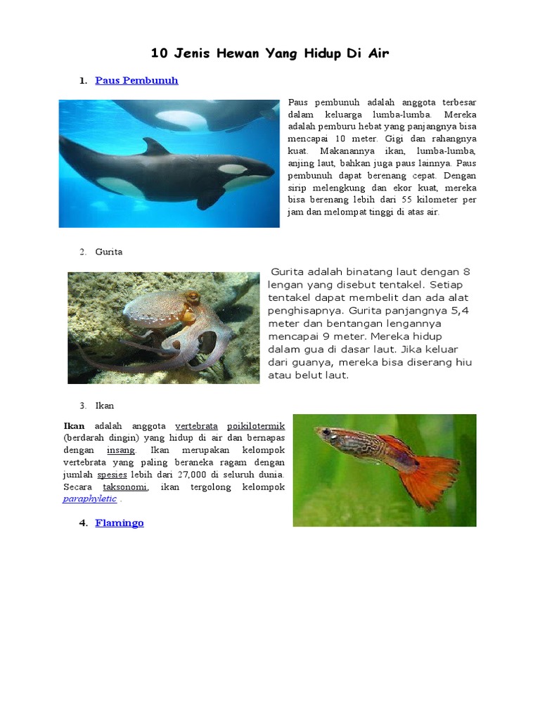 77+ Gambar Hewan Yang Ada Di Air Terbaik