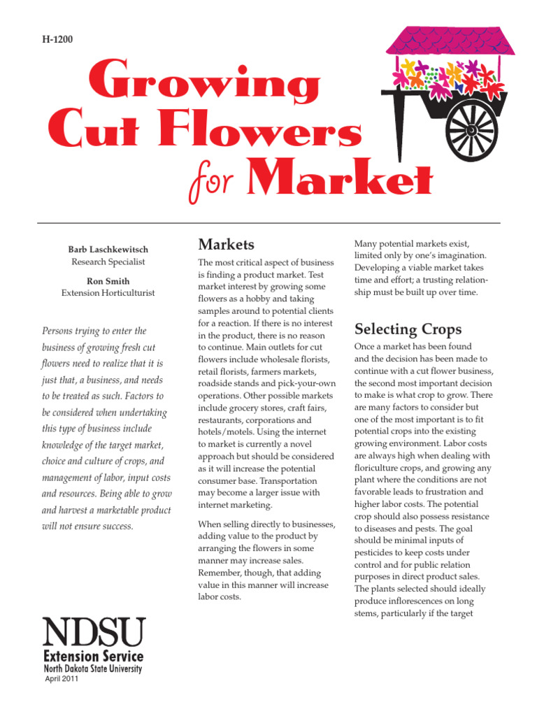 tall girl and short boy dating