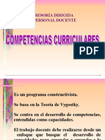 Competencias Curriculares