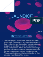 Jaundice: Slide 001