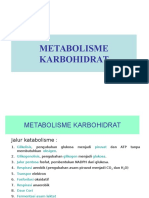 METABOLISME KARBOHIDRAT