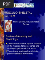 musculoskeletal system