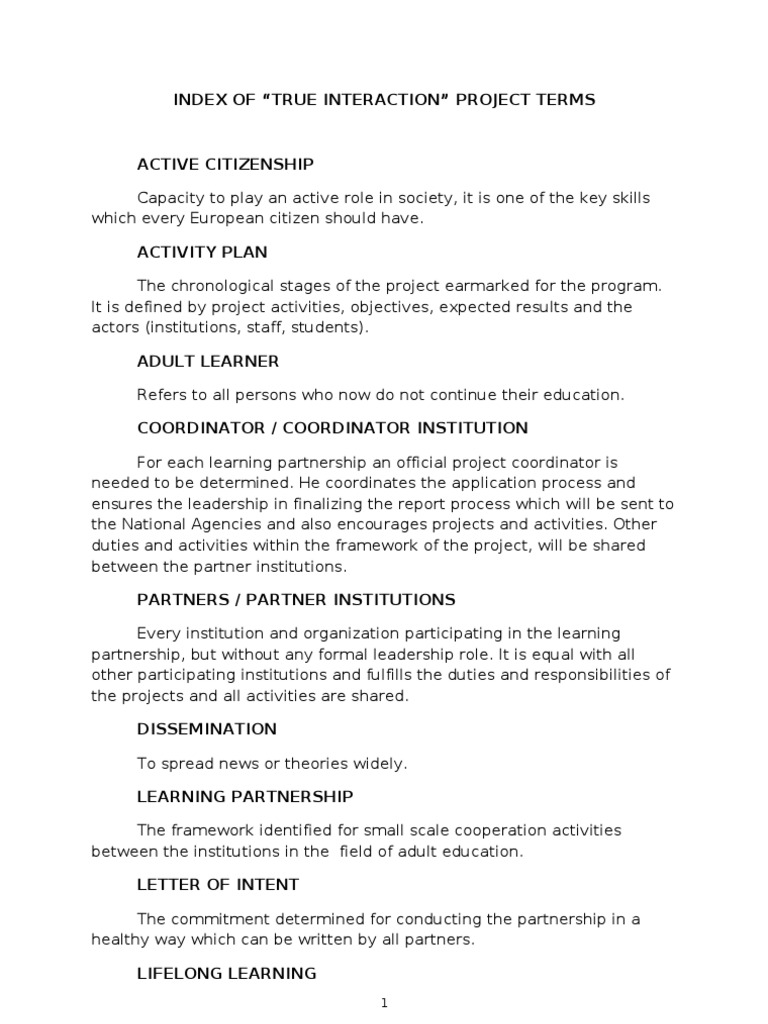 True Interaction Project Overview | PDF | Institution | Adult Education