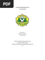 Download LP-Ca-Buli-bulidoc by Delisa Alfriani SN301202058 doc pdf