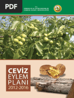 Ceviz Eylem Planı