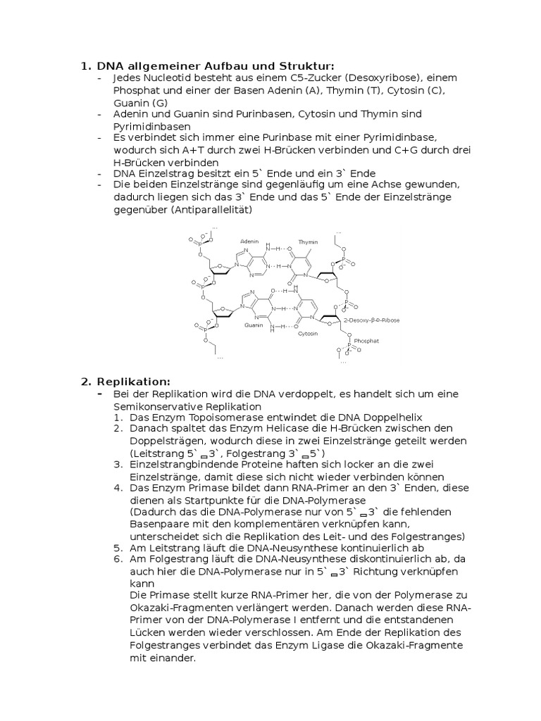 Biologie Lk Zusammenfassung
