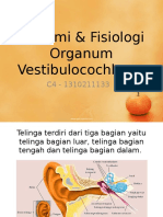 Anatomi & Fisiologi Vestibularis 