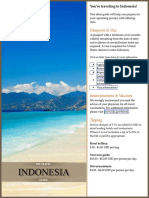 Indonesia Pre-Travel Guide