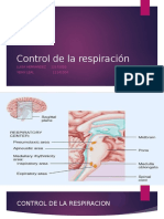 Diapositivas Control Respiratorio