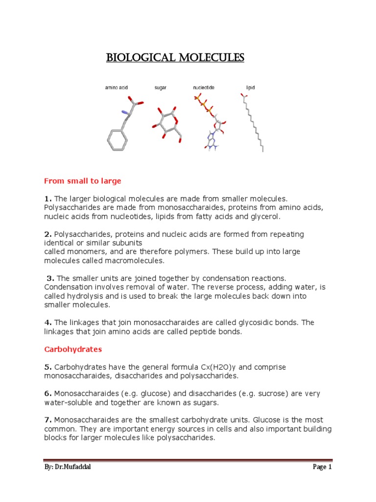 Biological Molecules (AS Level Bio) | PDF | Carbohydrates | Properties ...