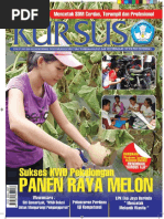 Download Info Kursius 2  by Abdul Azis SN301381159 doc pdf