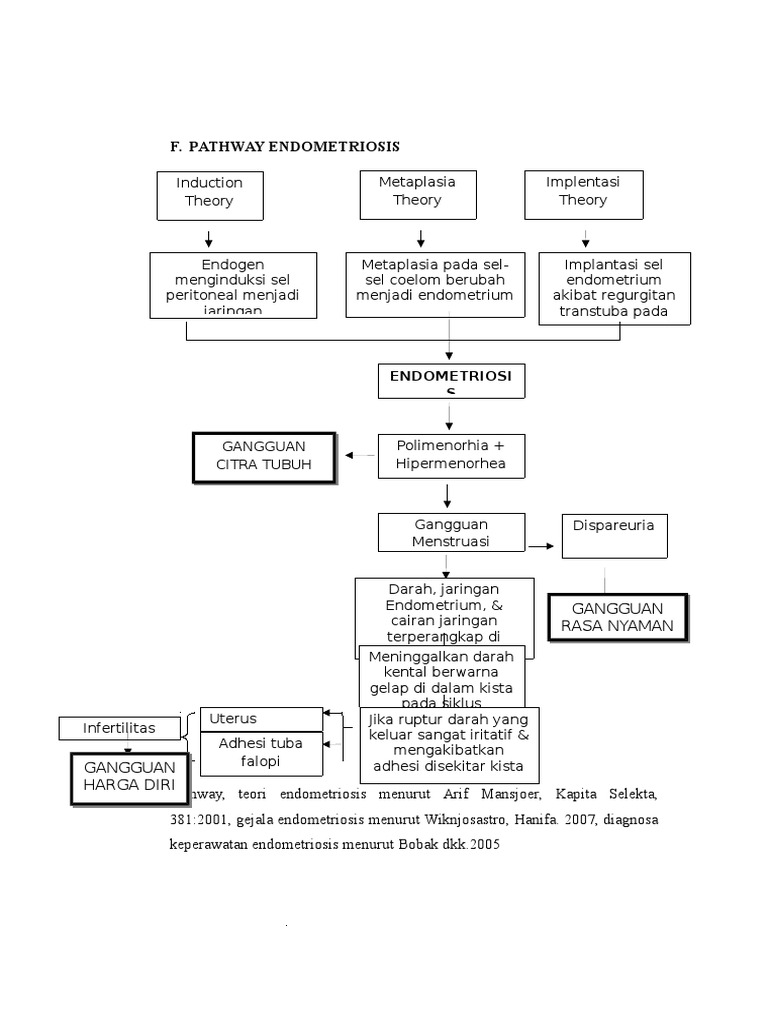Pathway ENDOMETRIOSIS PDF