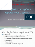 CEC - Repercursões Orgânicas