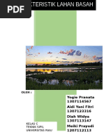 Download Paper Karakteristik Lahan Basah by Yogie Pranata SN301406228 doc pdf