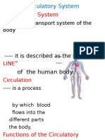 Circulatory System CHART