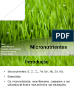 Micronutrientes 2014.1