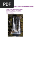 Florais Da Consciência