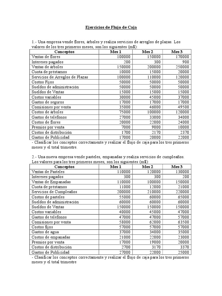 Ejercicios de Flujo de Caja | PDF