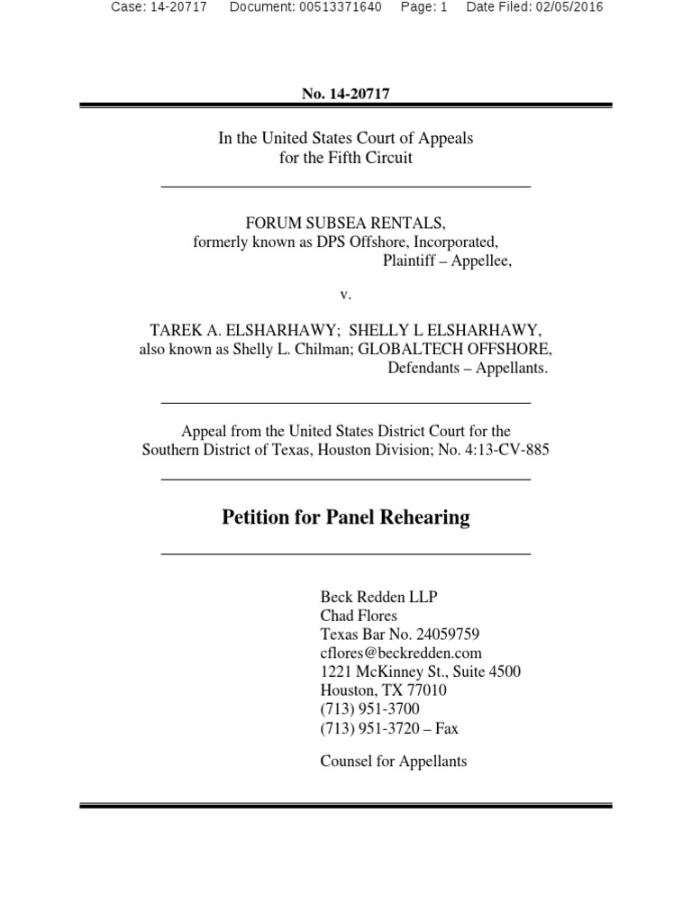 Motion For Rehearing PDF Brief (Law) Appeal
