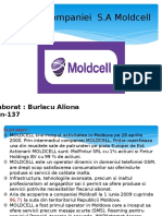 Moldcell-MG (ILACS) Burlacu Aliona.pptx