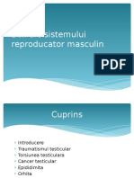 Boli Ale Sistemului Reproducator Masculin